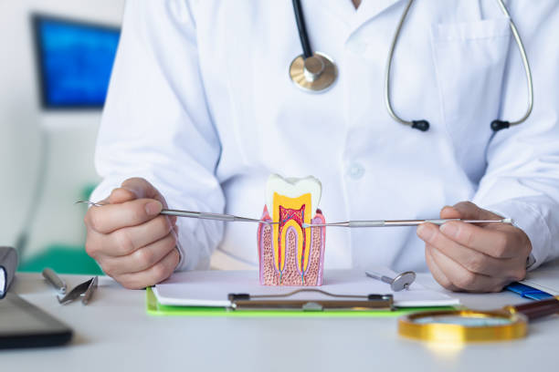Best Emergency Tooth Extraction in Nokesville, VA